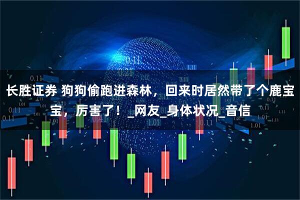 长胜证券 狗狗偷跑进森林，回来时居然带了个鹿宝宝，厉害了！_网友_身体状况_音信